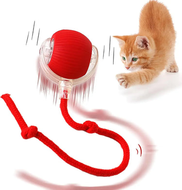 Automatic Rolling Ball